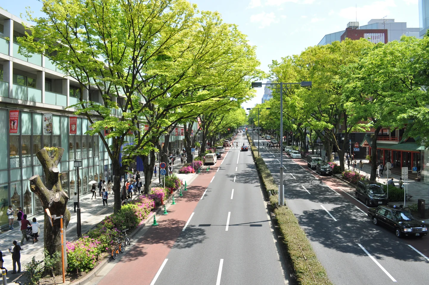 日本・東京・表参道の風景